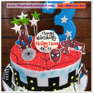 Bánh Sinh Nhật Siêu Nhân - US108